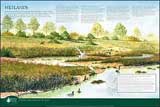Sierra Club Wetlands Chart